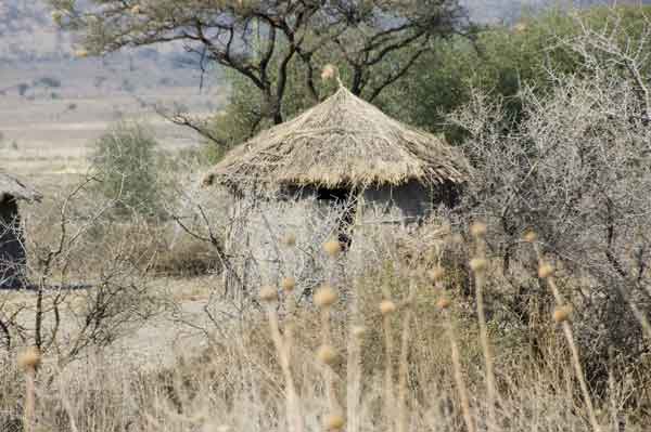 05 - Tanzania - poblado Masai